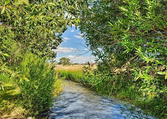 Kayaks & Views: Yellowstone River In *
