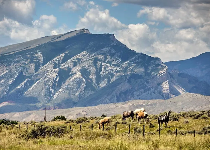 Kayaks & Views: Yellowstone River In *